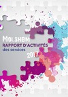 Rapport d'activits des services 2017
